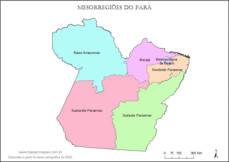 Mapa Do Pará Lista De Cidades Tipos De Mapa E Curiosidades 1724